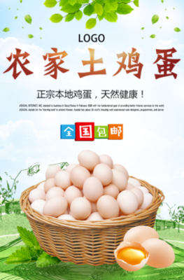 舌尖上的自然馈赠 我们家的土鸡与土鸡蛋，与您分享一份原生真味——年末母鸡蛋超值促?销活動（点！这